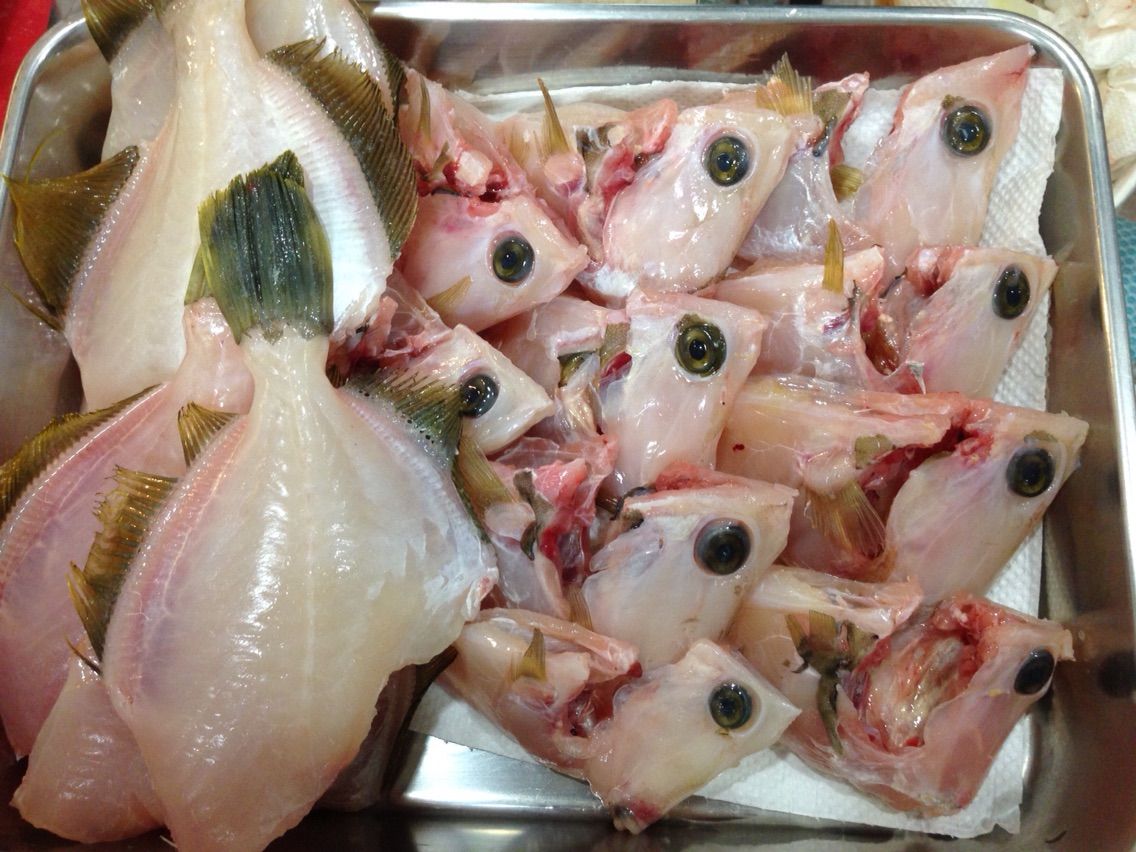 伊良湖産カワハギ料理 釣った魚を捌いて食べるブログ 伊良湖産カワハギ料理 釣った魚を捌いて食べるブログ
