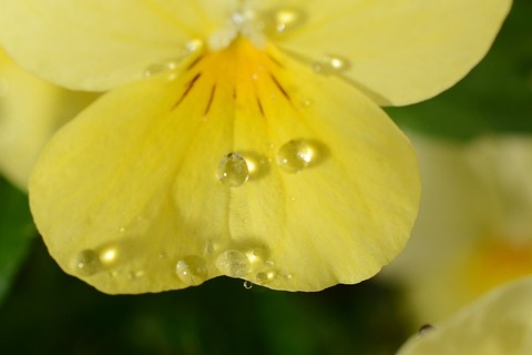 DSC_9394-1