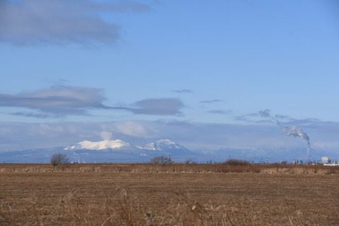 DSC_1122