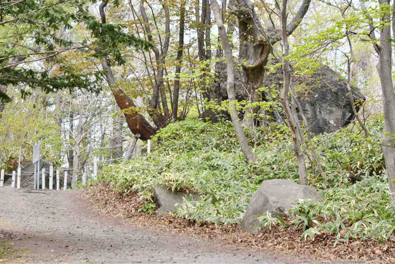 有珠善光寺石割り桜 翔雲徒然日記