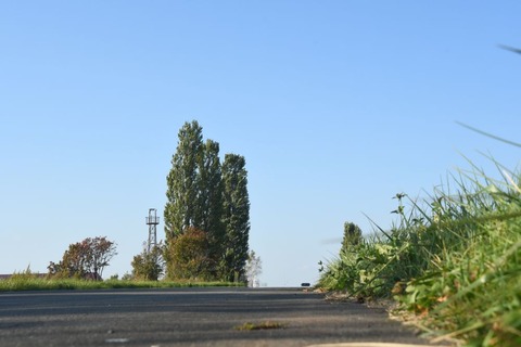 DSC_7602-1
