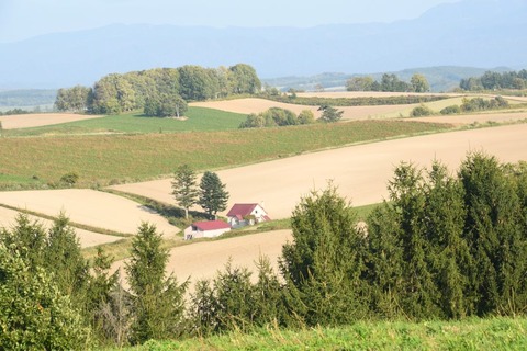 DSC_7587-1