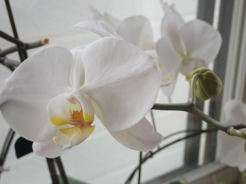 P7160041