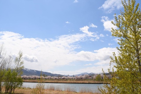 DSC_1712-1