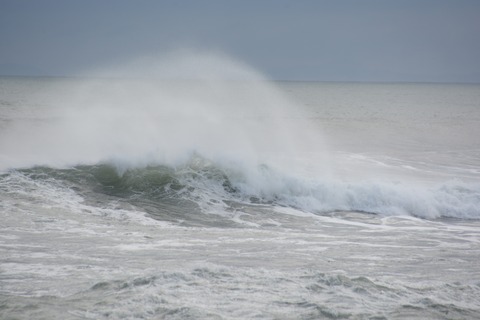 DSC_9730-1