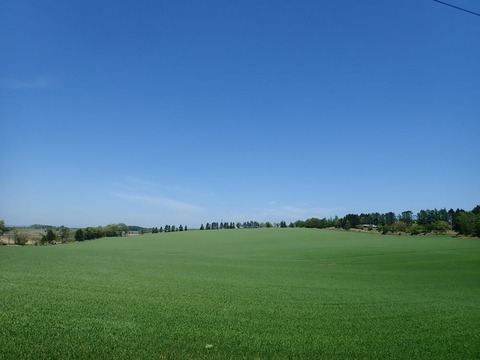 P5180191