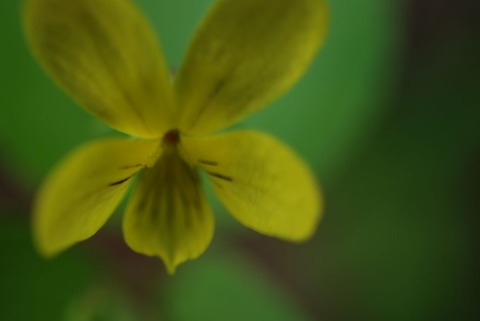 DSC_0269-1
