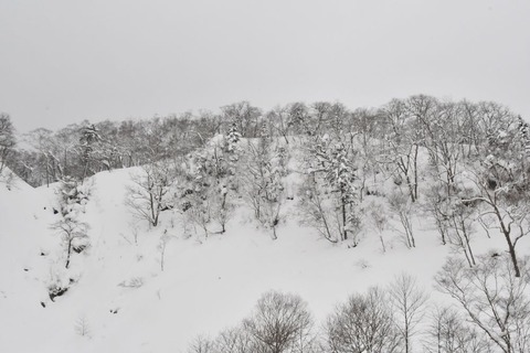 DSC_0467-1