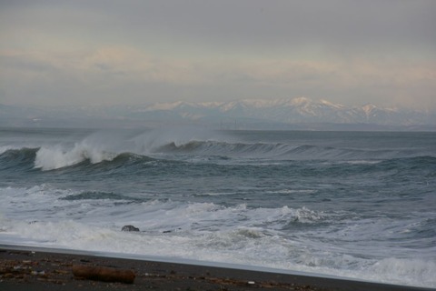 DSC_9760-1