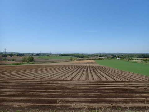 P5180188