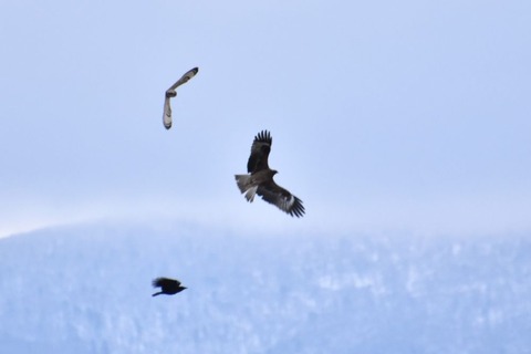 DSC_0164 (2)-1