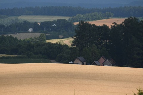 DSC_6490-1