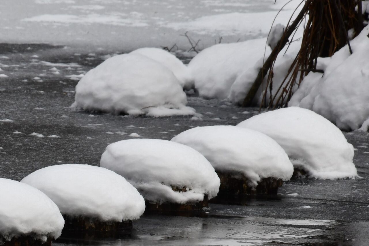 ふんわり可愛い雪まんじゅう 翔雲徒然日記 ふんわり可愛い雪まんじゅう 翔雲徒然日記