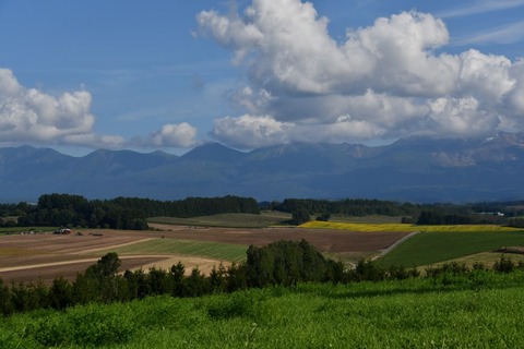 DSC_8391