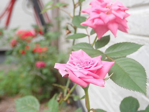 P7160042