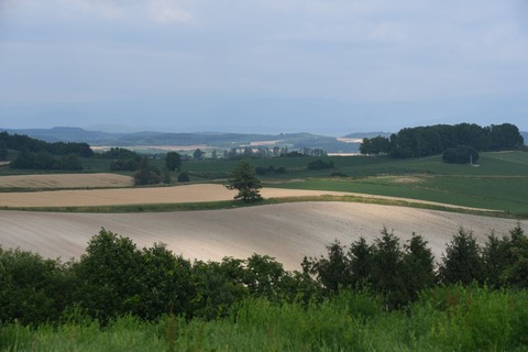 DSC_6474-1