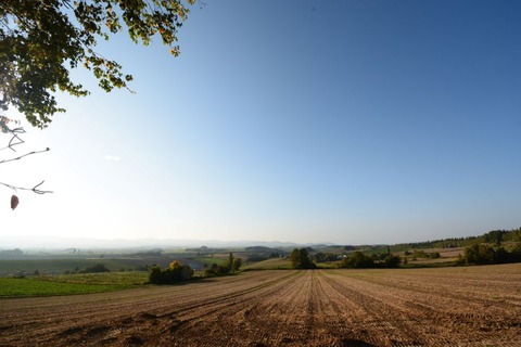 DSC_3757-1