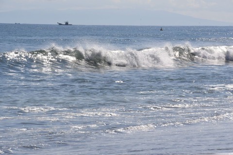 DSC_7145-1