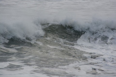 DSC_9755-1