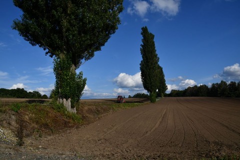 DSC_8395