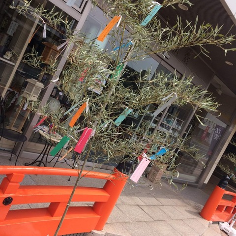 received_442927229618664