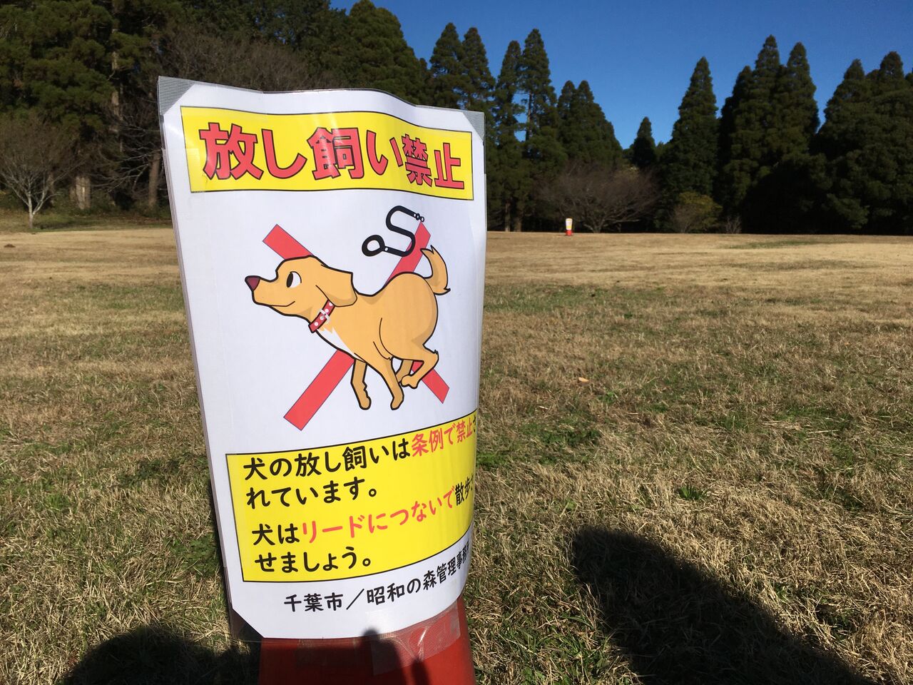 愛犬家の皆さん 放し飼い禁止 ですよ 昭和の森 千葉市 Now 愛犬家の皆さん 放し飼い禁止 ですよ 昭和の森 千葉市 Now