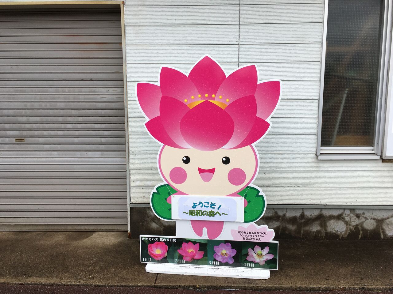 ちはなちゃん さびしそう 昭和の森 千葉市 Now ちはなちゃん さびしそう 昭和の森 千葉市 Now