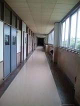 DVC00207