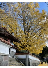 IMG_00816