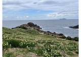 IMG_0189