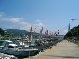 IMGP1858
