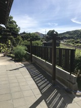 IMG_1379