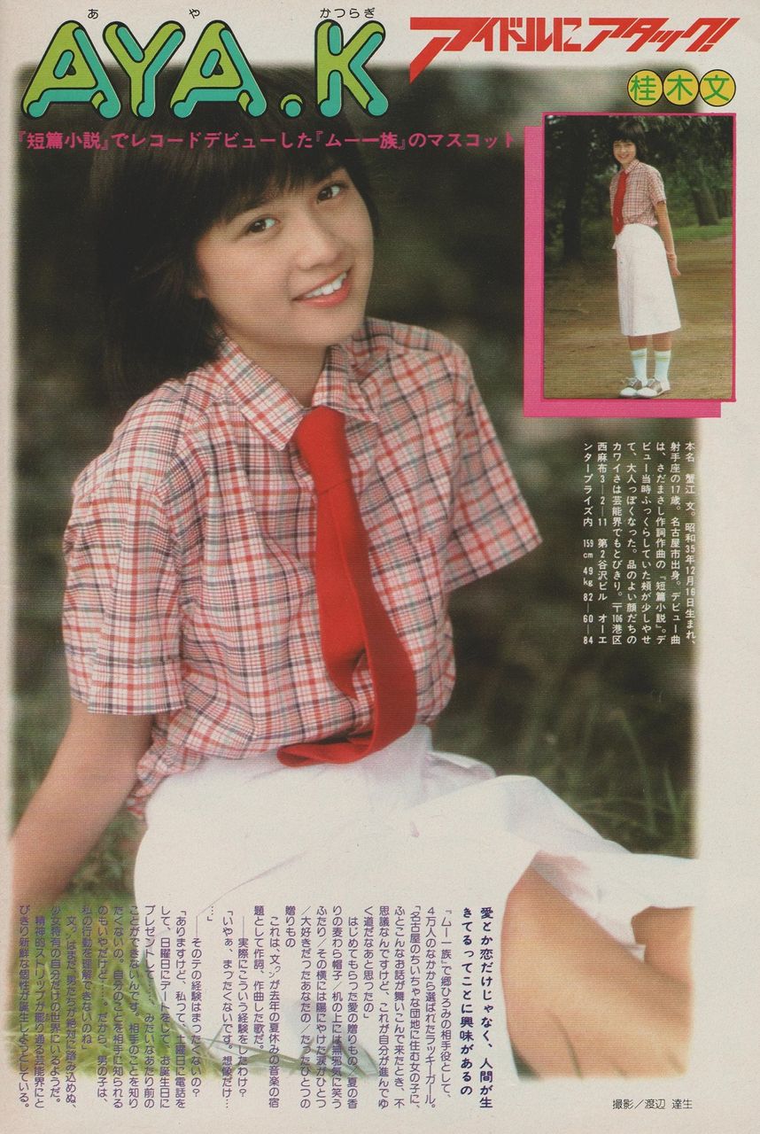 雑誌 Goro の時代 その４ 昭和５３年 ほのぼの昭和館とdiy日記