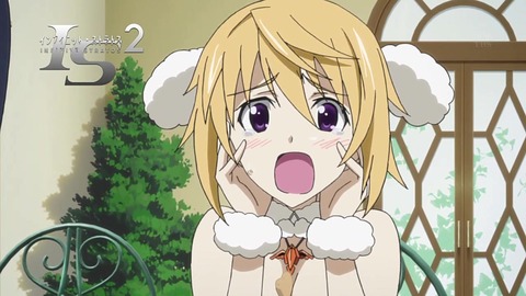 IS Infinite Stratos 2 - 05 158