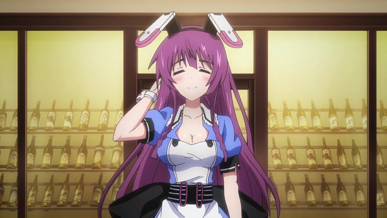 Is Infinite Stratos 2 を見た Bloganoia Is Infinite Stratos 2 を見た Bloganoia