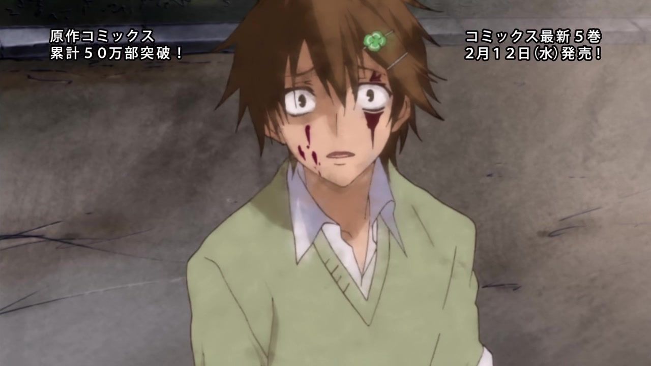 Pupa を見た Bloganoia