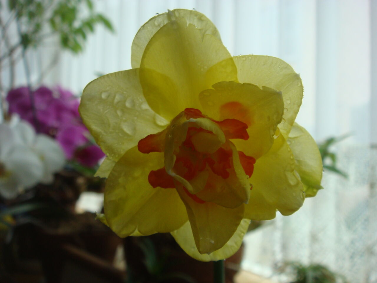 DSC06040