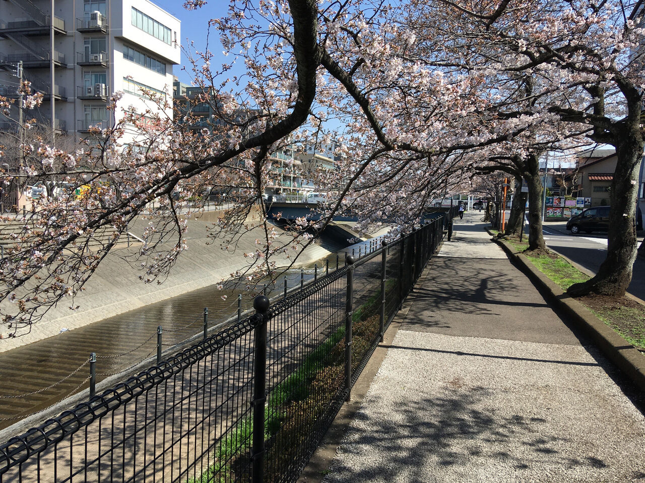 多摩市諏訪の個別指導塾 松陰塾多摩永山校 塾長ブログ livedoor blog