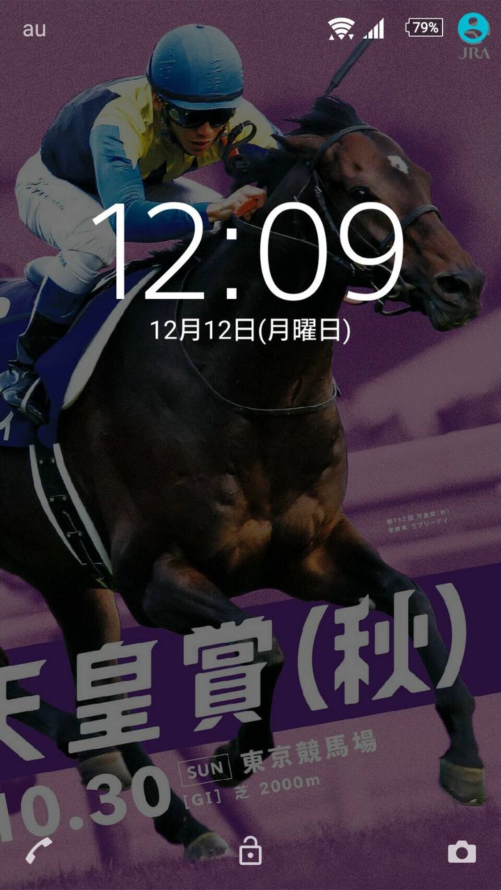 壁紙にしよう 新 気まぐれ競馬場観戦記 壁紙にしよう 新 気まぐれ競馬場観戦記