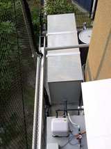 ¥ì¥¤¥ó¥¸¥ã¡¼¤ÈÎФΥ«¡¼¥Æ¥ó