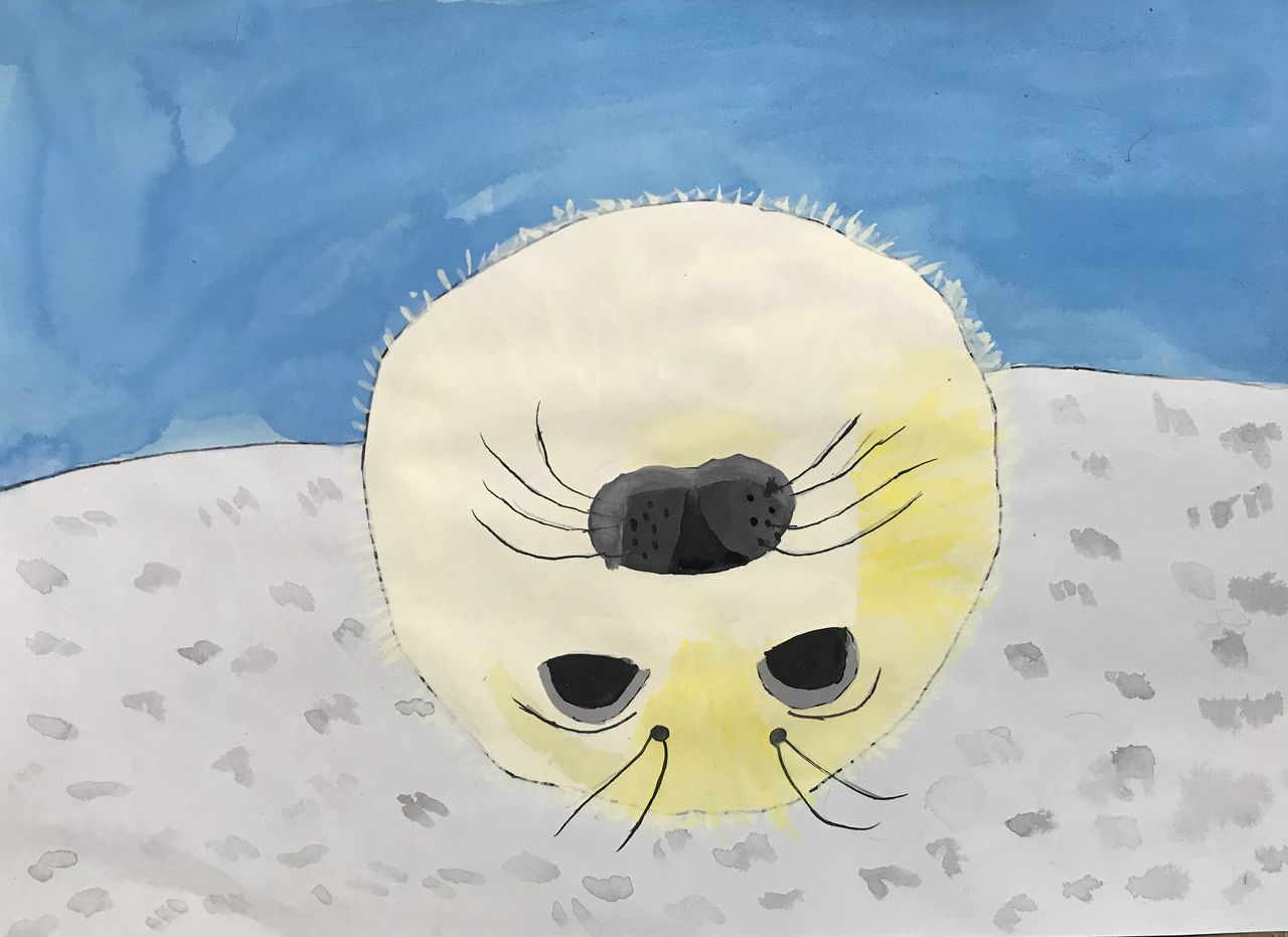 こんにちはアザラシくん Show Show Kids Blog こんにちはアザラシくん Show Show Kids Blog