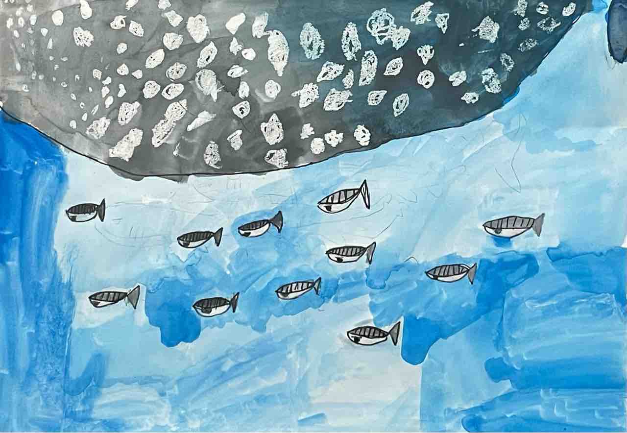 ジンベイザメとおよぐコバンザメ Show Show Kids Blog