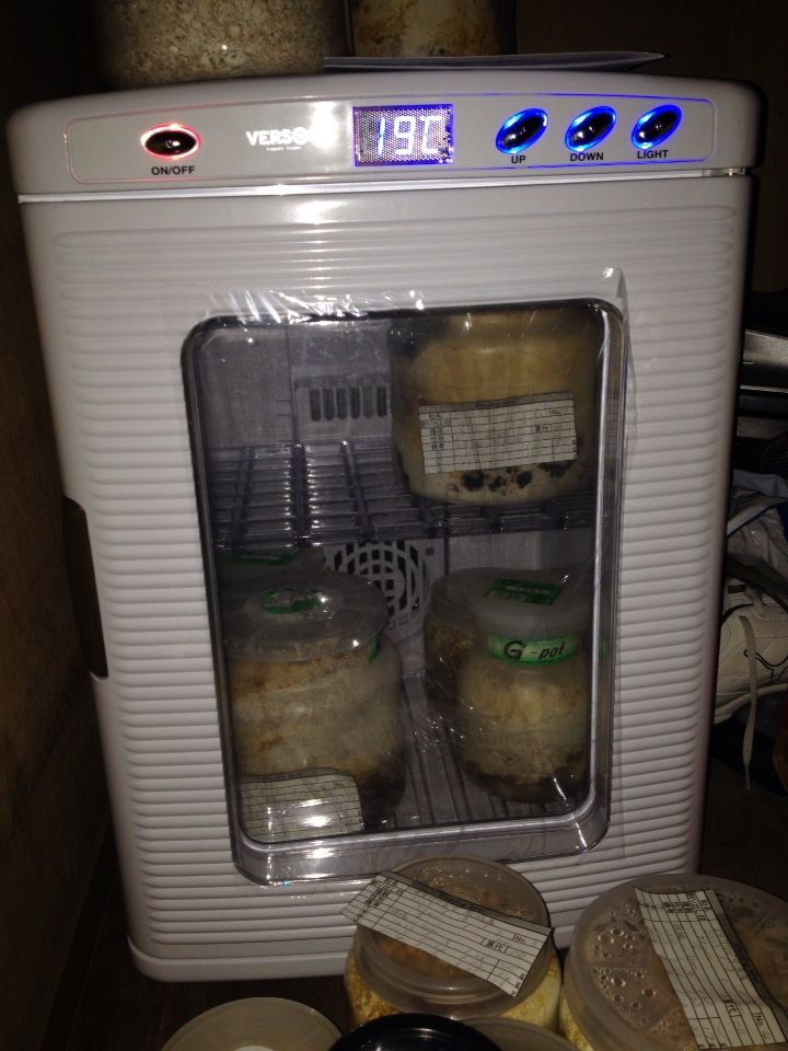 美品 温室クーラー Aー201 クワガタ カブト 美品 温室クーラー A