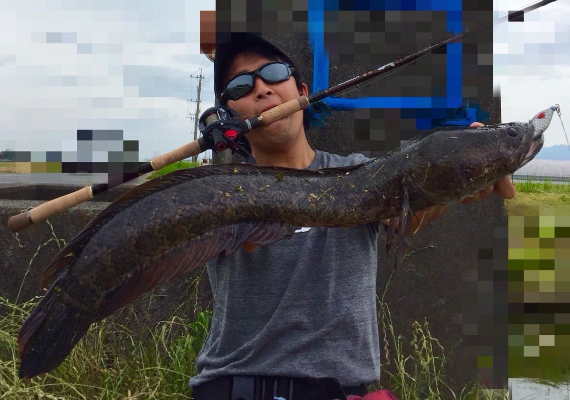 至高の雷魚ゲーム Up Days