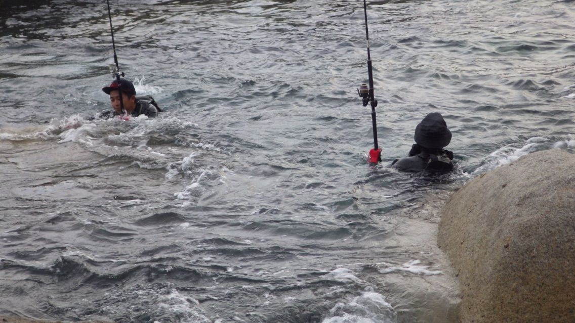 鹿児島遠征 スイム磯ヒラ Up Days 鹿児島遠征 スイム磯ヒラ Up Days