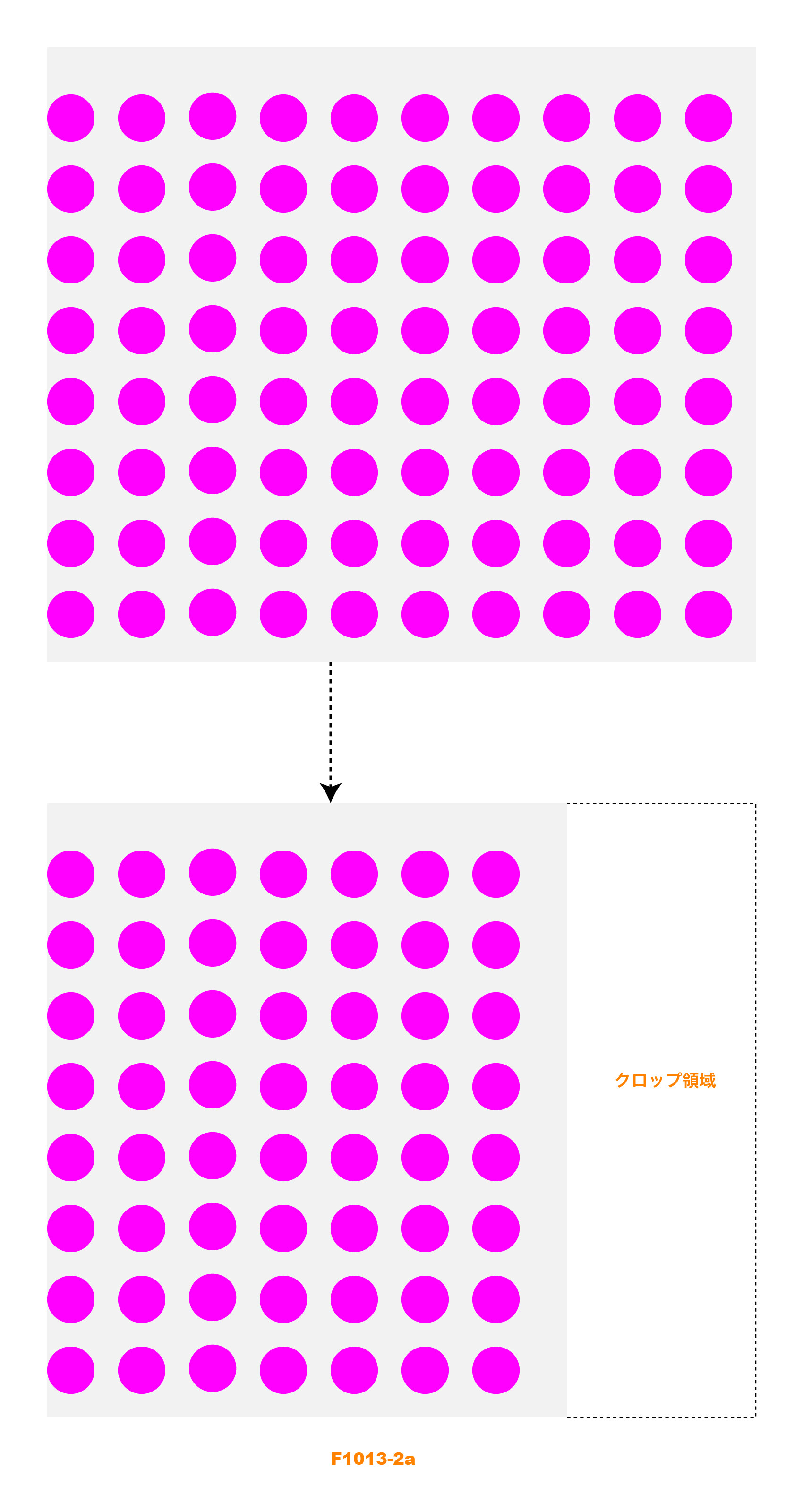 1013 クロップエフェクト Shoyamao S Rehabilitation