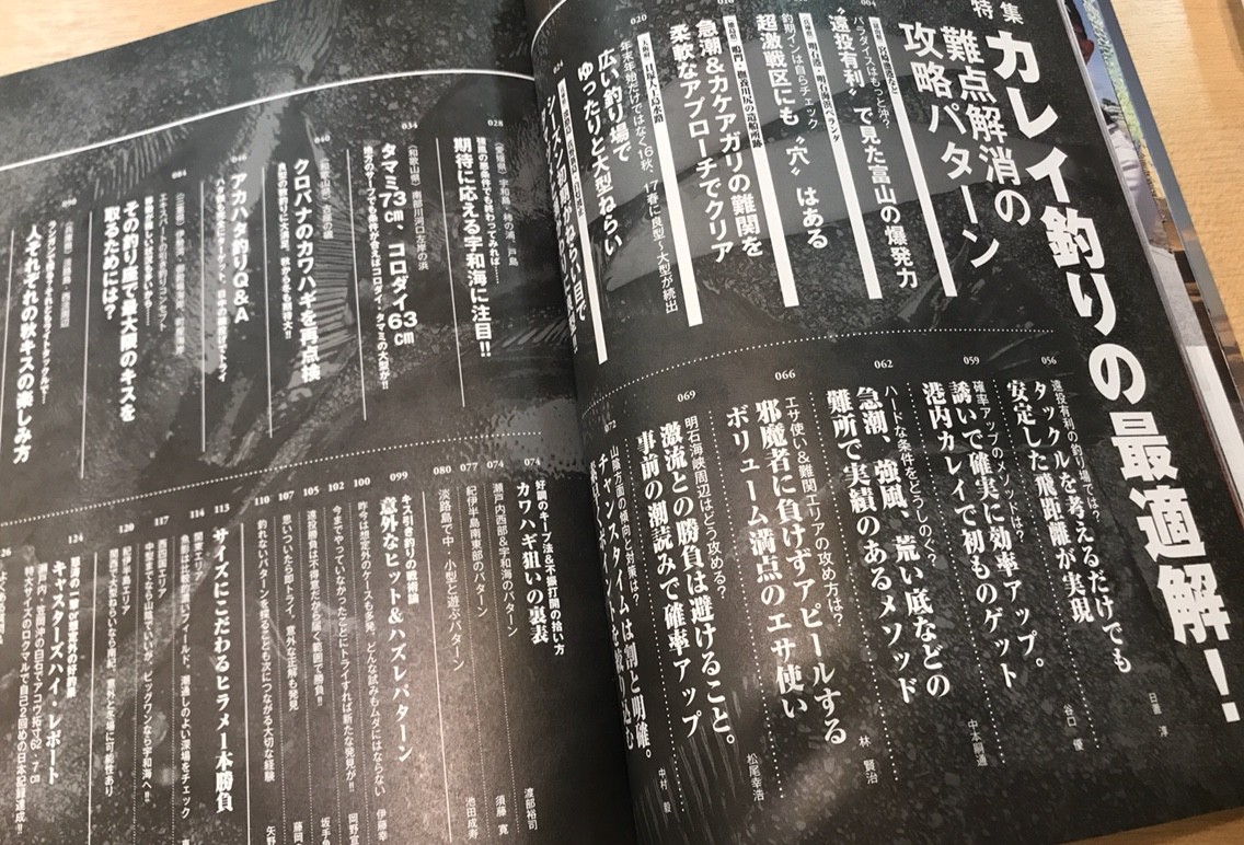 カレイの難点解消 投げ釣りパラダイス 17秋冬号 Blue Tetristの釣りノート