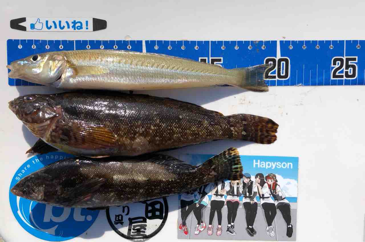 須磨キス開幕 アタリ100 の万能仕掛け キャロ でキスも根魚も Blue Tetristの釣りノート 須磨キス開幕 アタリ100 の万能仕掛け キャロ でキスも根魚も Blue Tetristの釣りノート