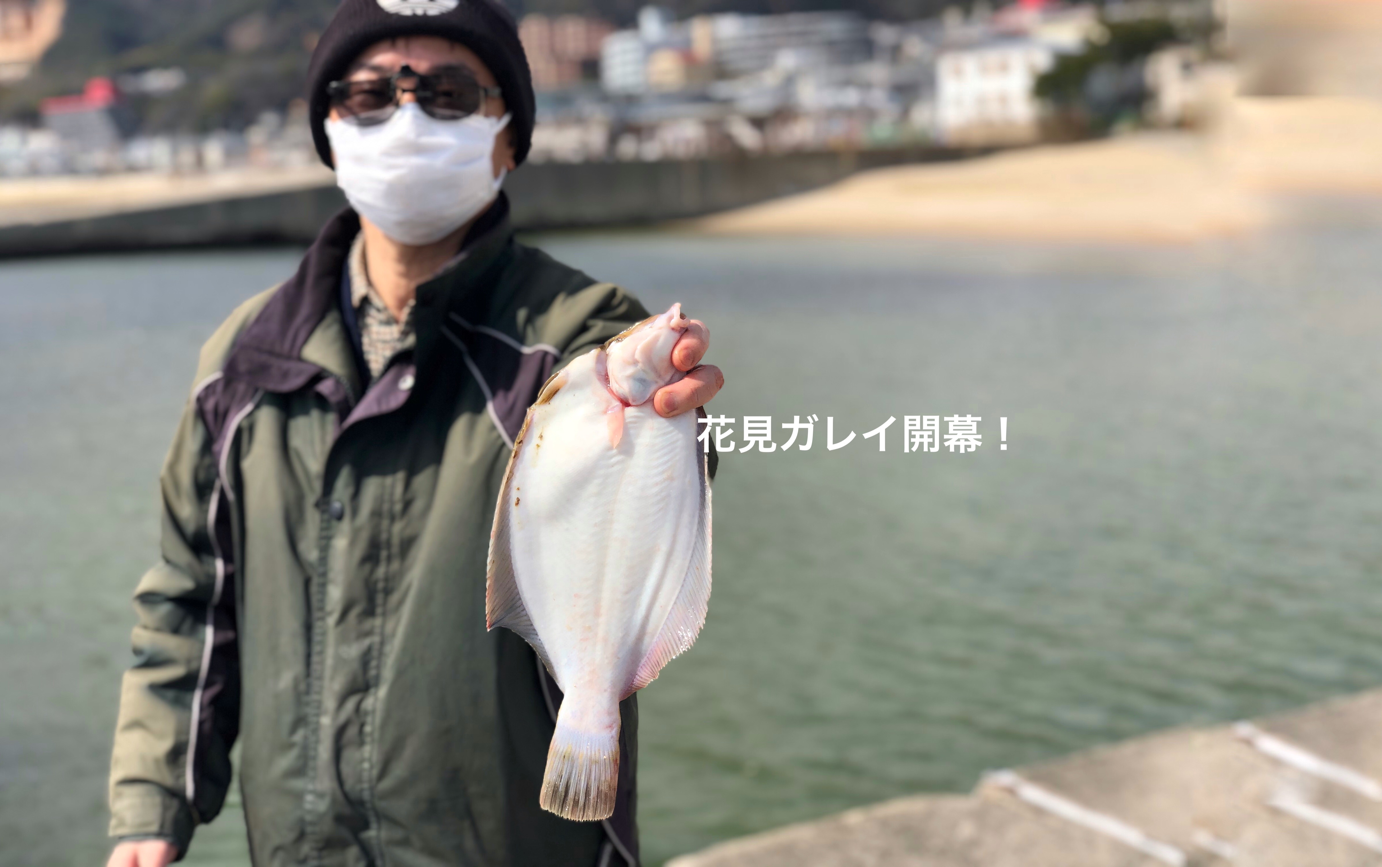 21花見ガレイ開幕へ カレイ釣り講座近日公開 Blue Tetristの釣りノート 21花見ガレイ開幕へ カレイ釣り講座近日公開 Blue Tetristの釣りノート