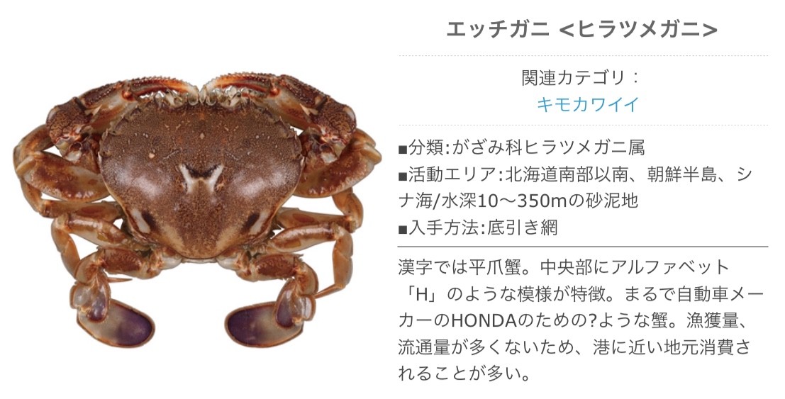 Zako48センターはエッチガニで Blue Tetristの釣りノート Zako48センターはエッチガニで Blue Tetristの釣りノート